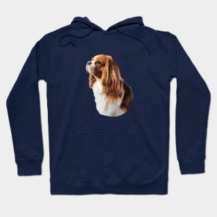 Cavalier King Charles Spaniel Hoodie